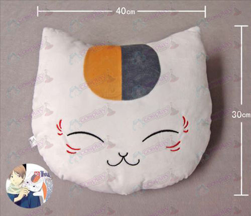 Professor gato Pillow