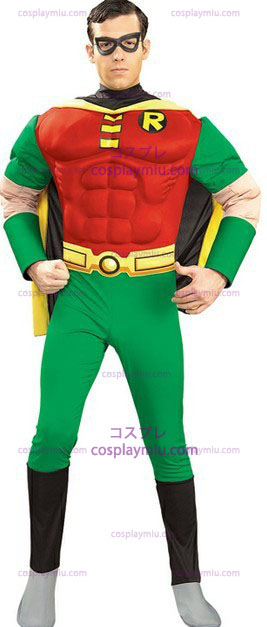 Adultos Robin Costume
